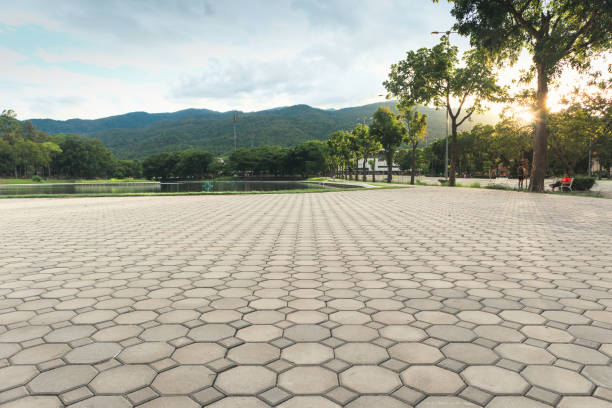 Best Commercial Driveway Pavers  in Cresaptown, MD